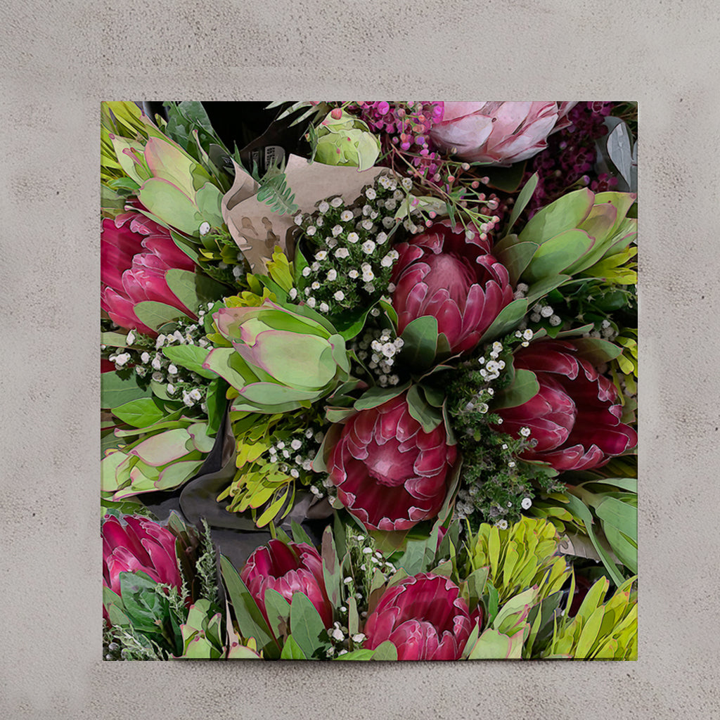 Protea Collection set of 4