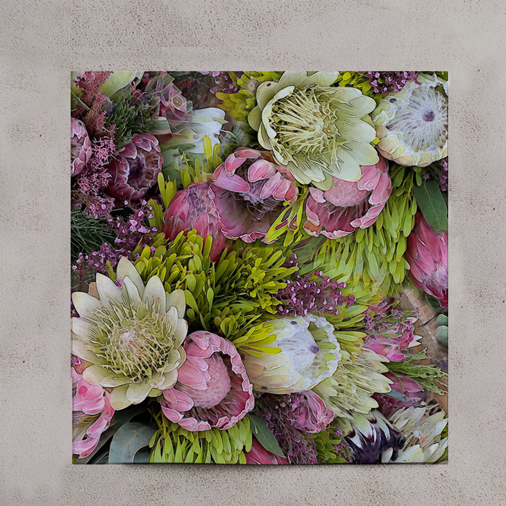 Protea Collection set of 4