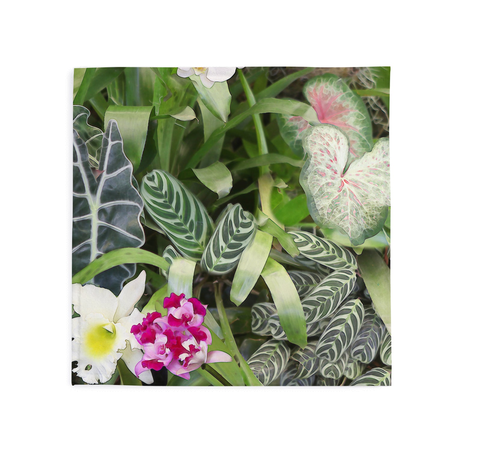 Facial Flannel in Tropical Orchid