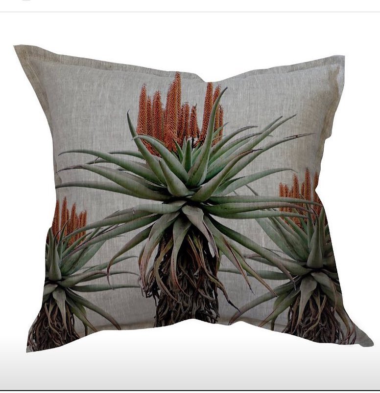 Cushion cover in Aloe Trio