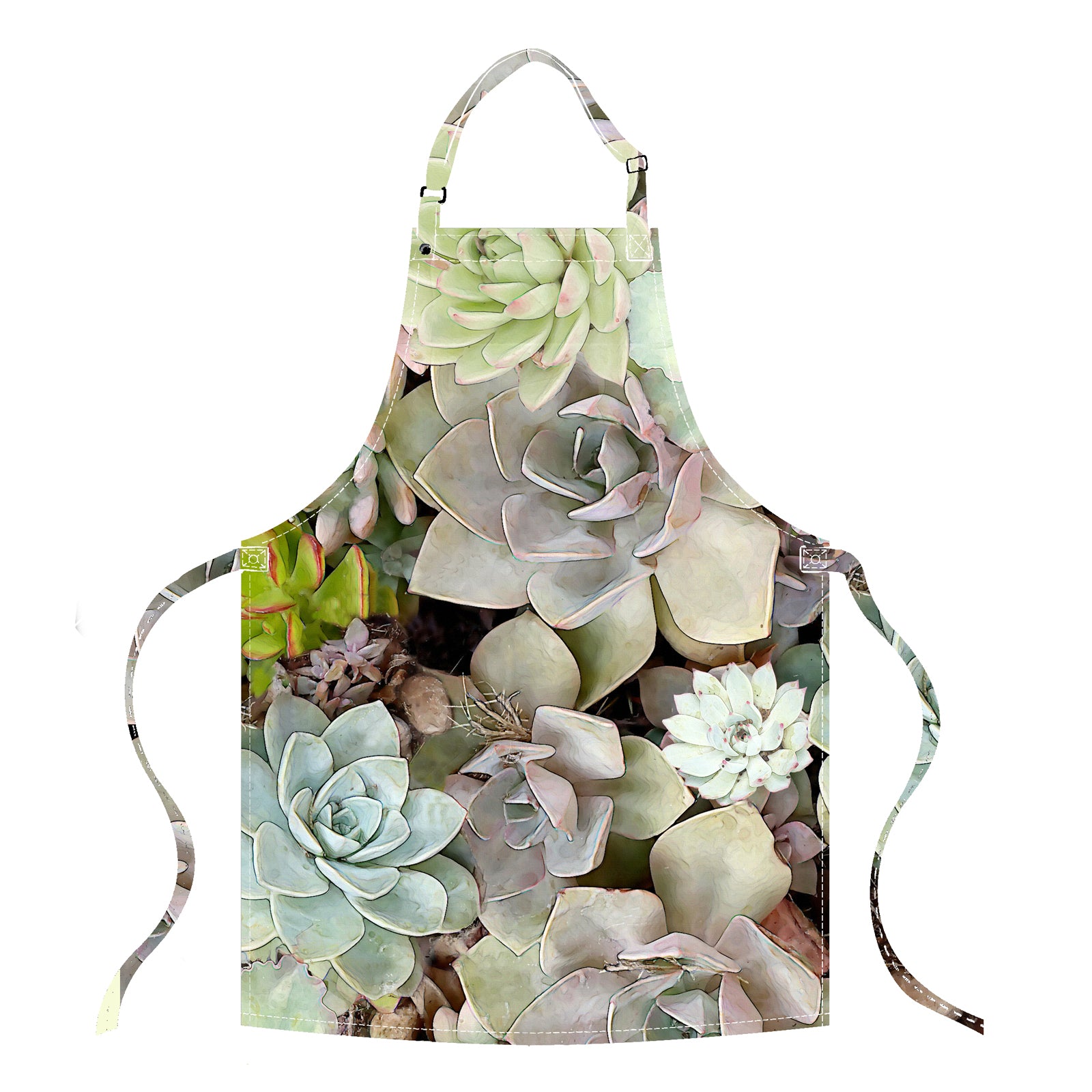 Apron in Succulent in Soil