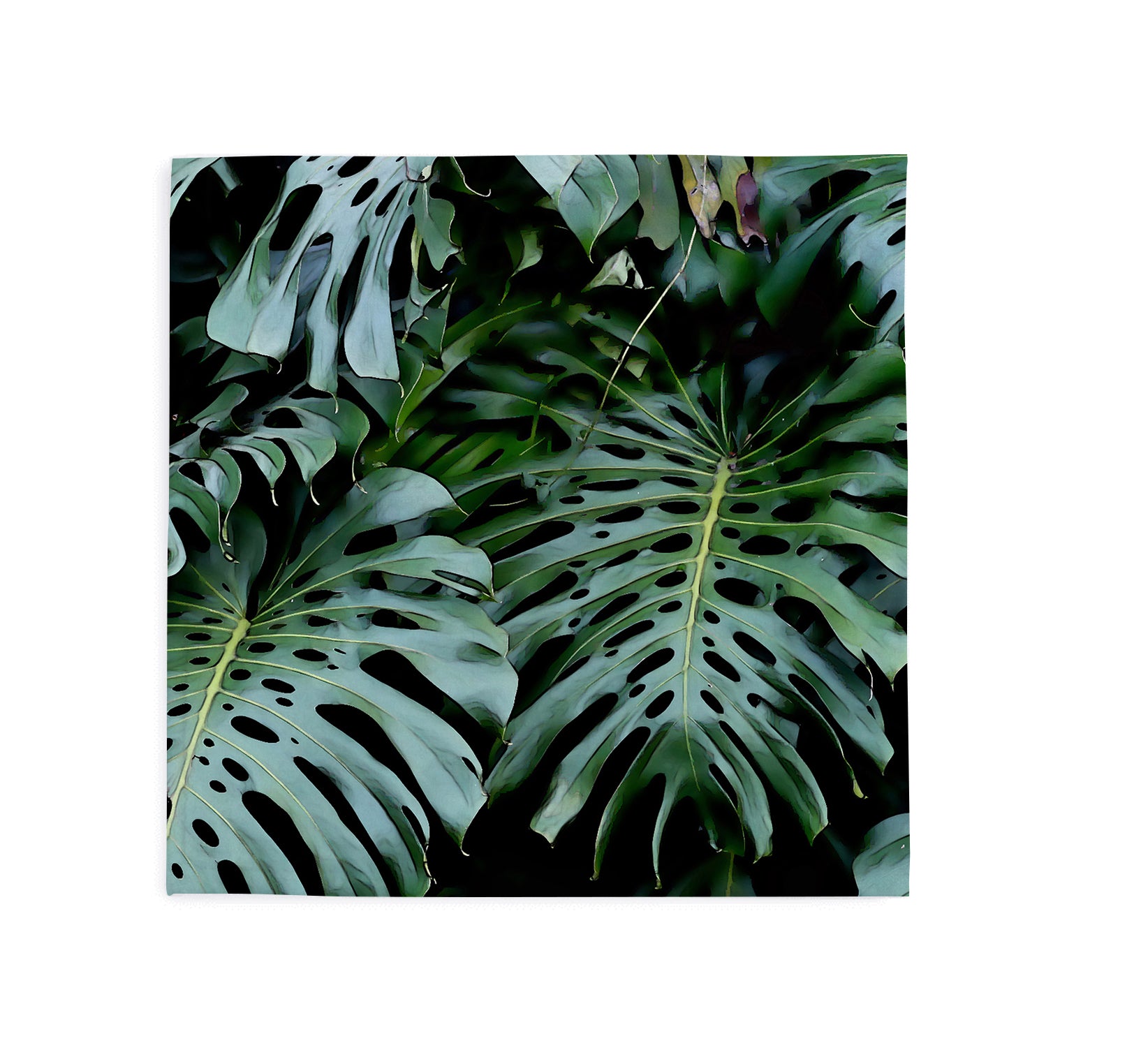 Facial Flannel in Monster Leaf