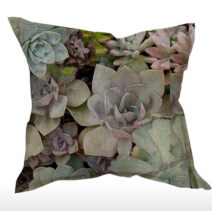 Cushion cover in Succulent in Soil