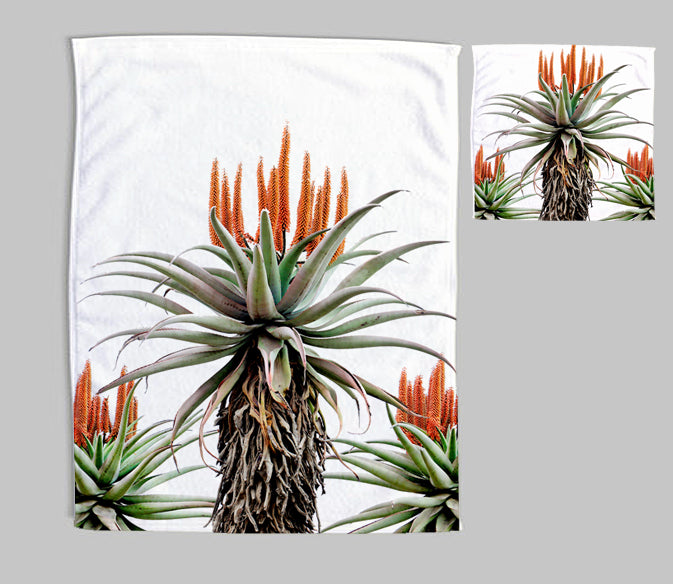 Tea towel and dishcloth set in Aloe Trio