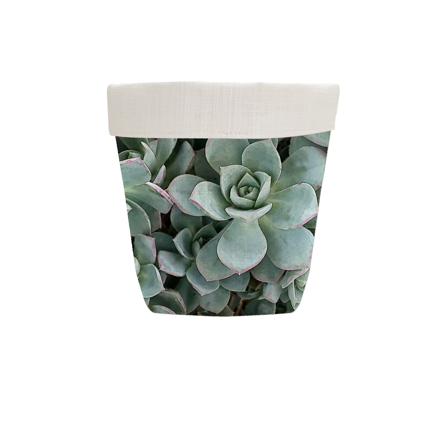 Fabric Pot in Succulent Green